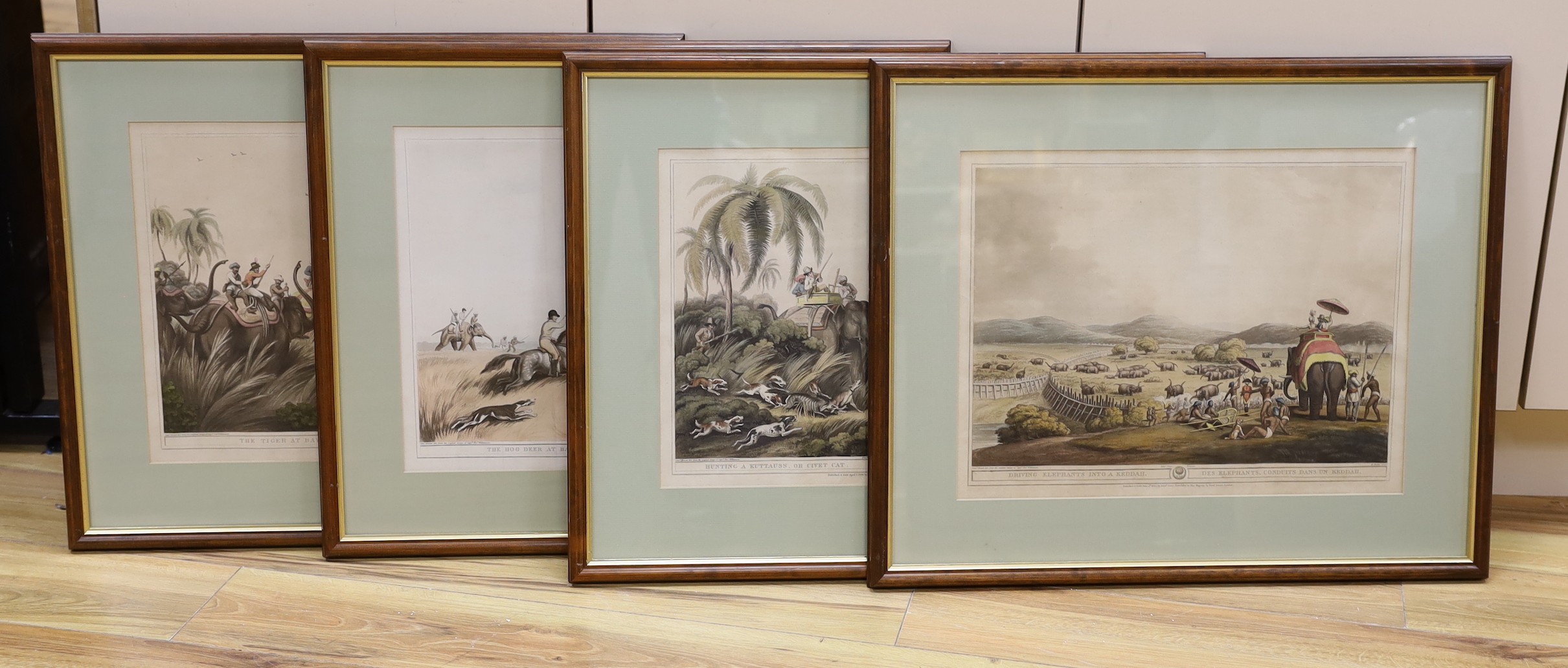 Edward Orme Publ. 1805, four colour prints from Oriental Field Sports, 'The Tiger at Bay', 'The Hog Deer at Bay', 'Hunting a Kuttauss or Civit Cat' and 'Driving elephants into a keddah', overall 36 x 47cm